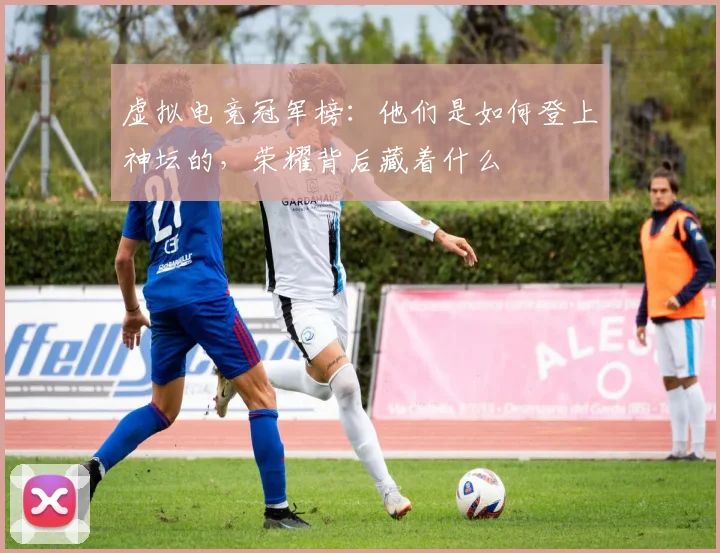 虚拟电竞冠军榜：他们是如何登上神坛的，荣耀背后藏着什么